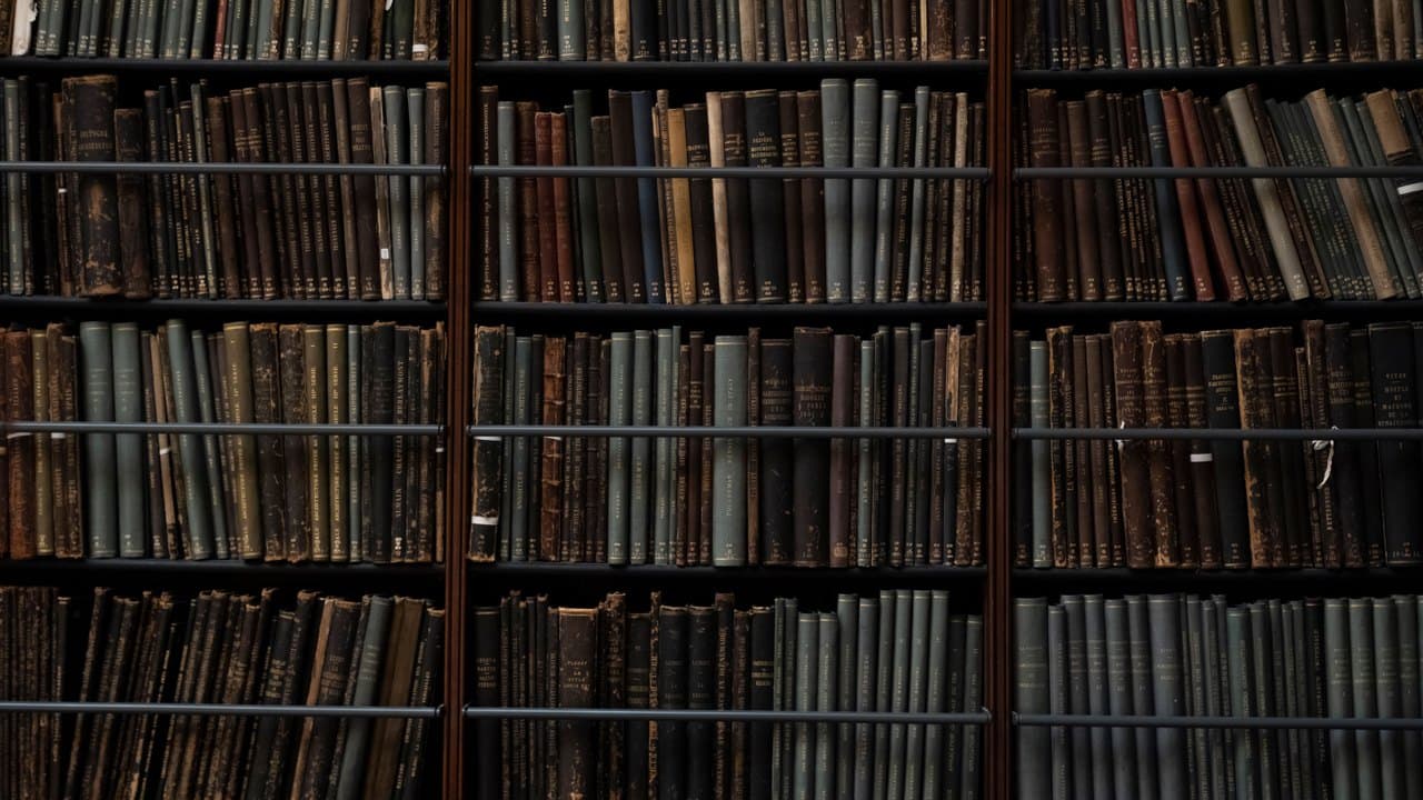 Shelves of uniform bound volumes filling a reference library wall