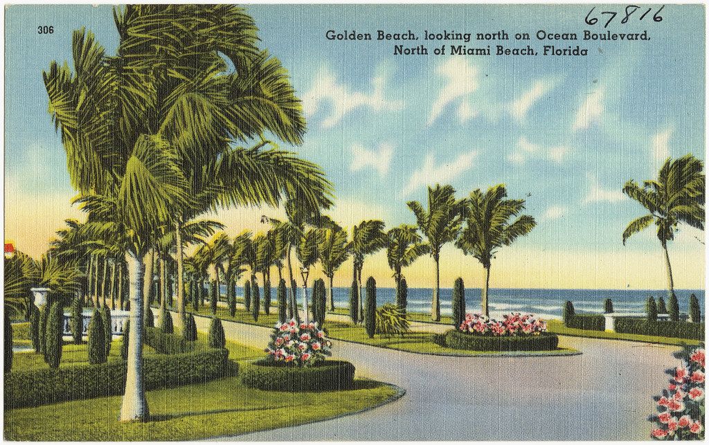 A palm-lined Miami boulevard