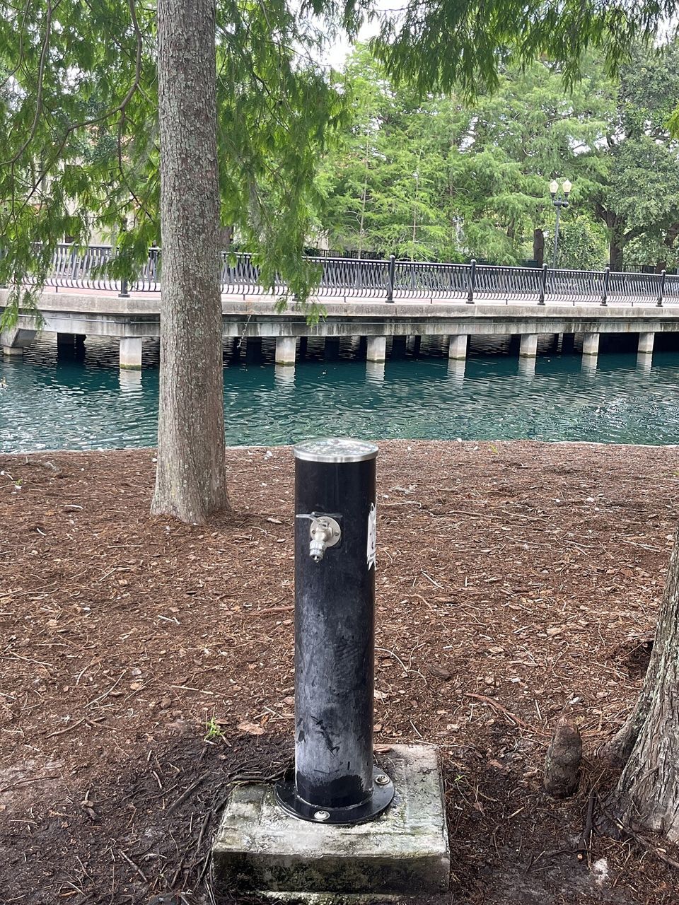 Lake Eola Park in downtown Orlando