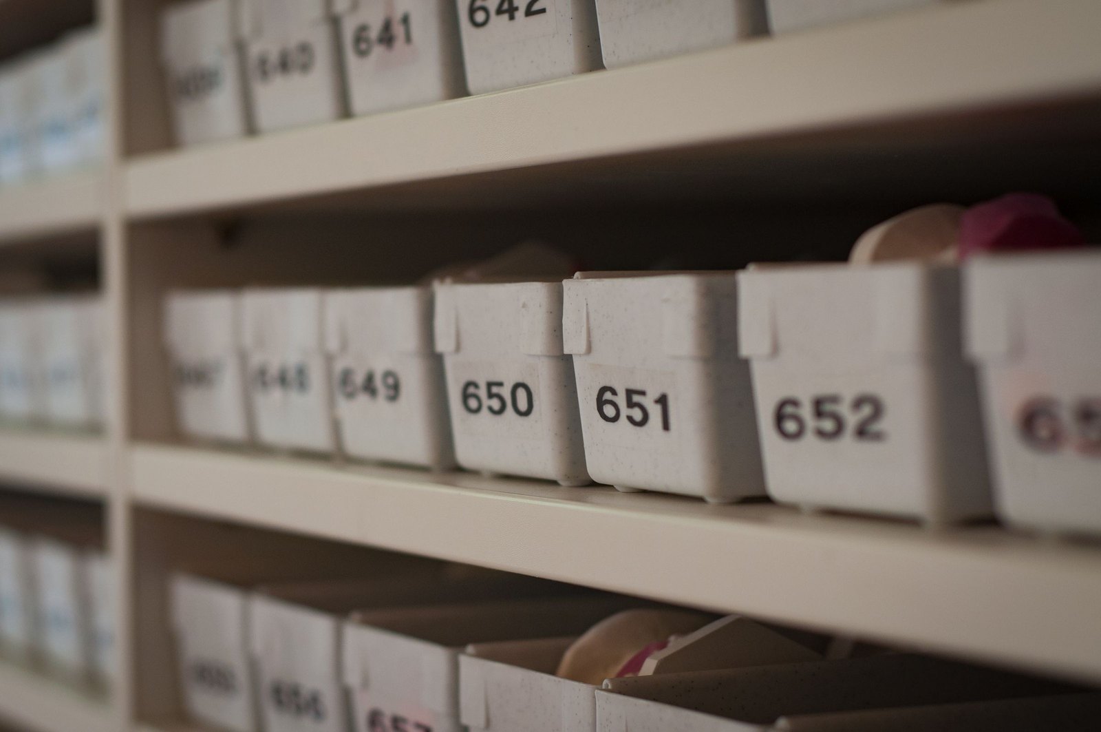 Archive shelf of white document boxes numbered 640 through 652